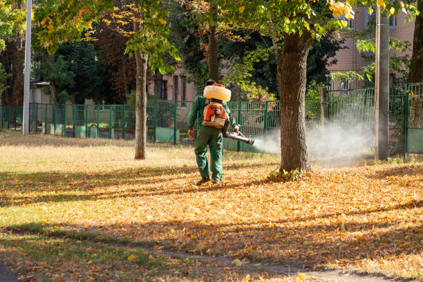 Best Pest Control Near Me in Boulevard Park, WA